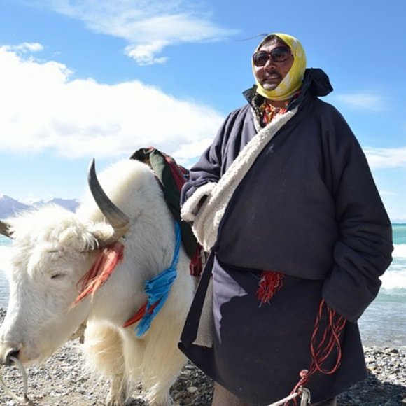 Meet your Posher, Dorje - Picture 1 of 1